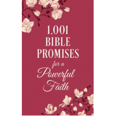 One Thousand and One Promises for a Powerful Faith - Linda Hang (LWD)