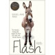 Flash The Homeless Donkey who Taught Me about Life, Faith, and Second Chances - Rachel Anne Ridge