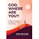 God Where Are You?! - John Bevere