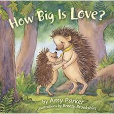 How Big Is Love? - Amy Parker