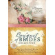 A Bouquet of Brides Collection - (LWD) For Seven Bachelors this Bouquet of Brides Means a Happily Ever After