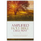 Amplified Large Print - Hardcover