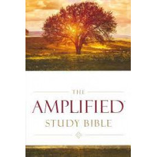 Amplified Study Bible - Hardcover