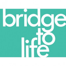 Bridge To Life Tracts - Pack of 10