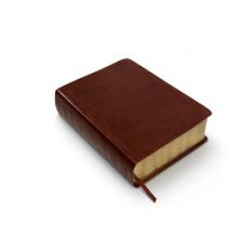 ESV Study Bible - Trutone Chestnut