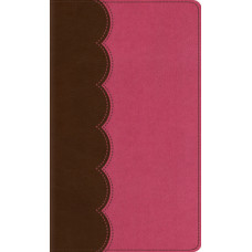 ESV Kid's Thinline Bible - Trutone Chocolate/Bubblegum