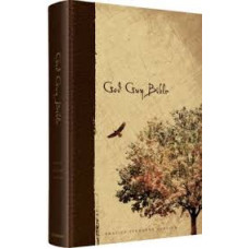 ESV God Guy Bible - Hard Cover Brown