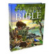 The Illustrated Children's Bible - Janice Emmerson