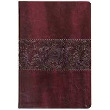 The Passion Translation New Testament with Psalms Proverbs and Song of Songs - Large Print - Burgundy Faux Leather - Brian Simmons - 2020 Edition