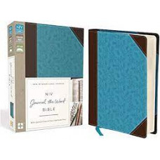 NIV Journal the Word Bible Chocolate/Turquoise Italian Duotone