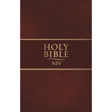 NIV Bible 2011 - Paper Back