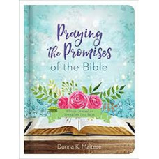 Praying the Promises of the Bible - A Prayer Journal to strengthen Your Faith - Donna K Maltese (LWD)